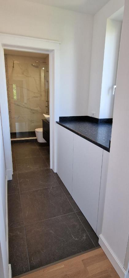 With View Apartment Brasov